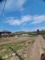 Брянская область, Брянский район, Добрунское сельское поселение тер., сдт Полет снт